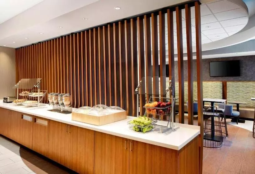 酒店 Springhill Suites Indianapolis Downtown