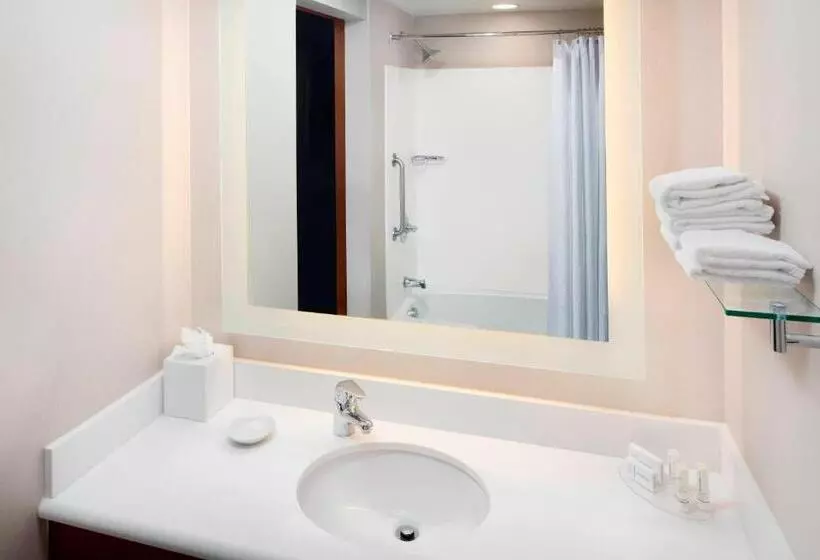 酒店 Springhill Suites Indianapolis Downtown