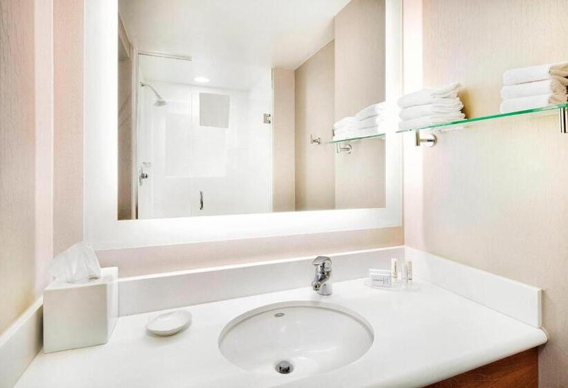 هتل Springhill Suites Indianapolis Downtown