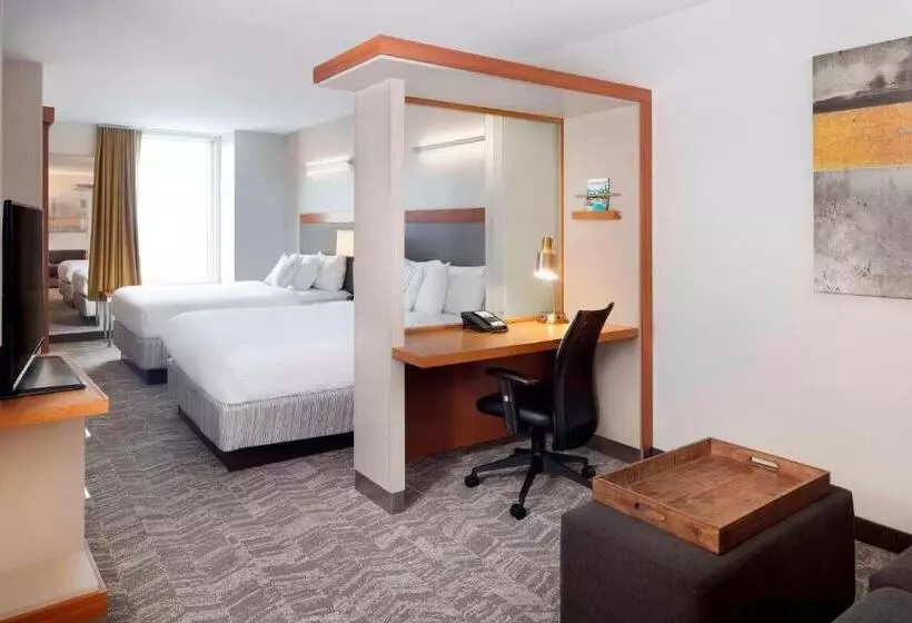 酒店 Springhill Suites Indianapolis Downtown