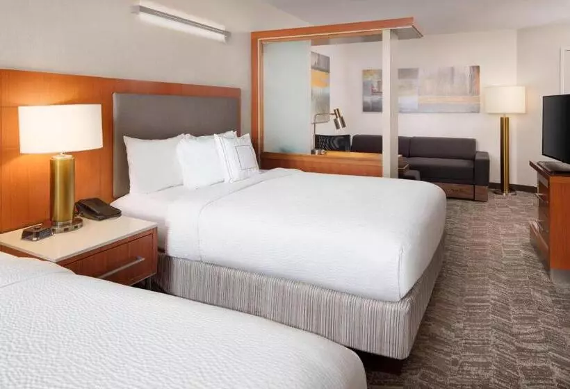 酒店 Springhill Suites Indianapolis Downtown