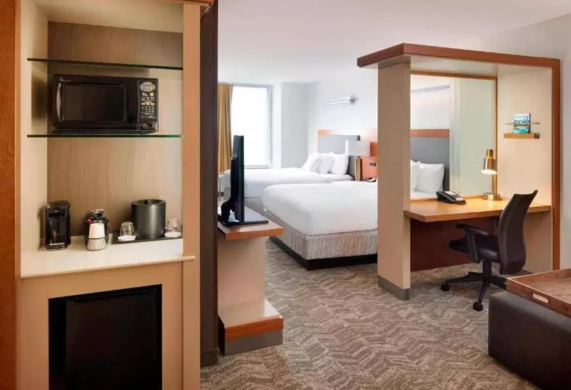 酒店 Springhill Suites Indianapolis Downtown