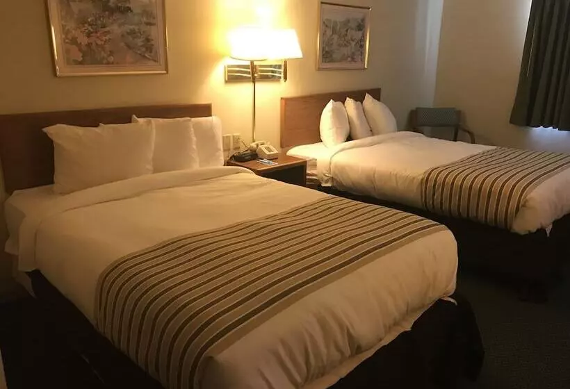 モーテル Rodeway Inn
