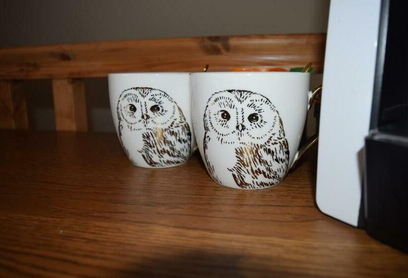 فندق The Plough Inn