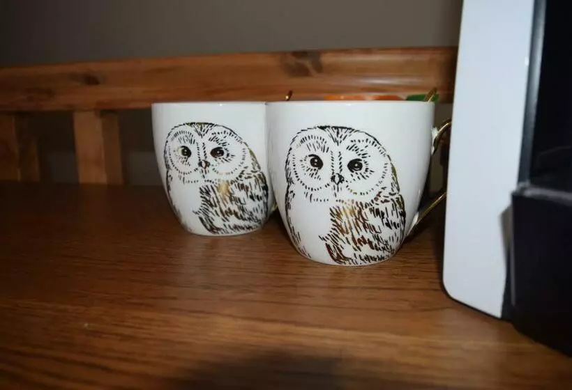 Hotelli The Plough Inn