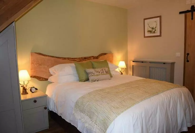 Hotelli The Plough Inn