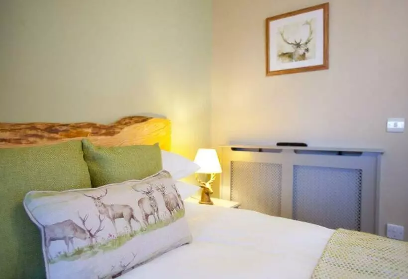 Hotelli The Plough Inn