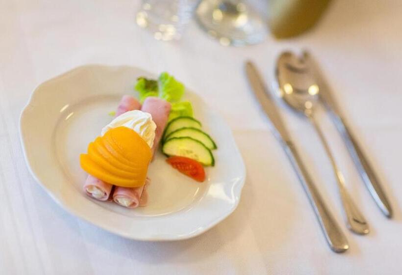 Letní Pobyt Na Hotelu Samechov V Posázaví