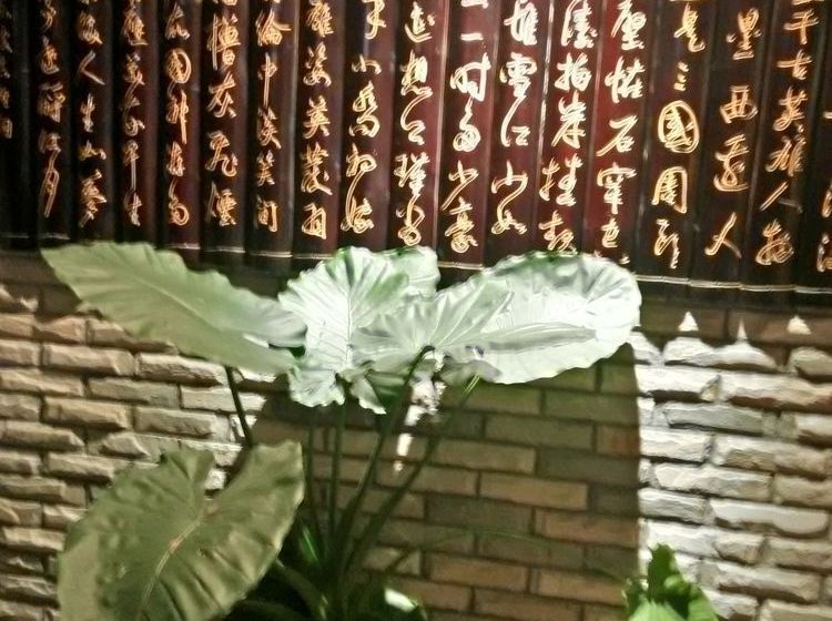 Baolong Homelike Youyi Hotel