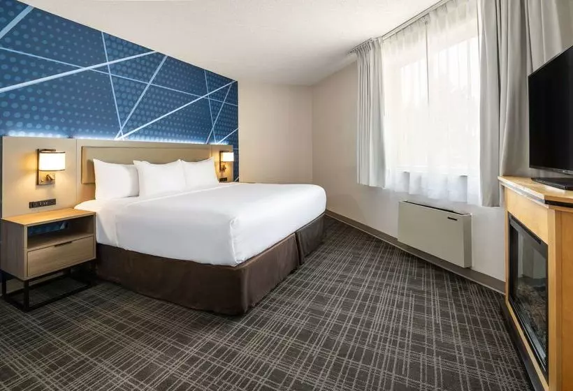 酒店 Comfort Inn & Suites