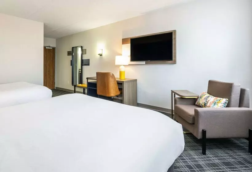 酒店 Comfort Inn & Suites