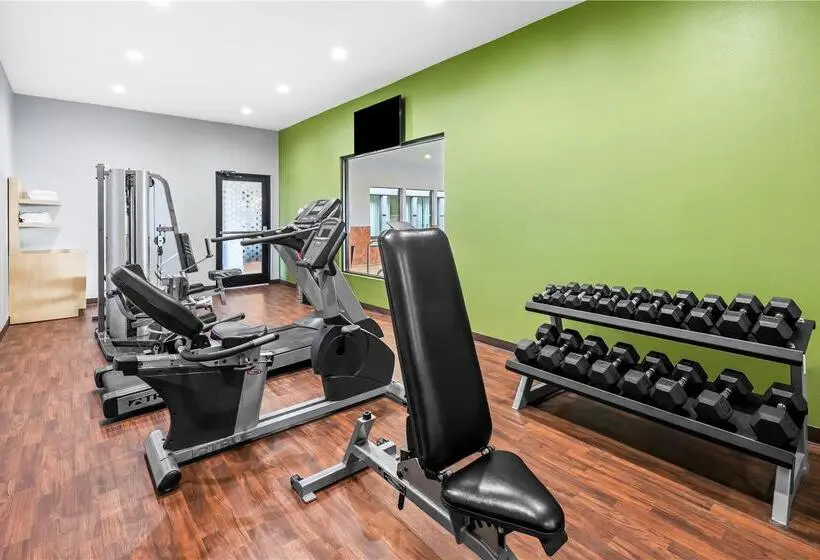 ホテル Fort Stockton Inn & Suites