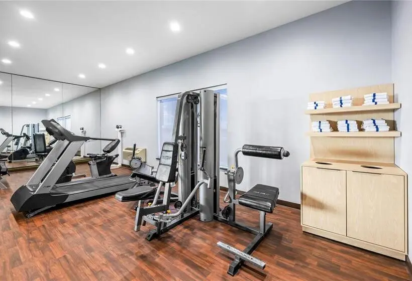 ホテル Fort Stockton Inn & Suites