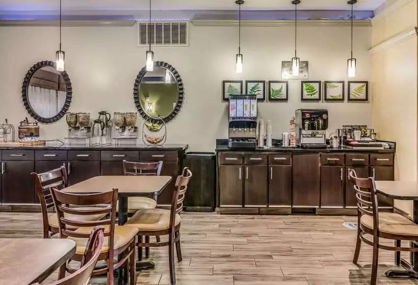 酒店 Fort Stockton Inn & Suites