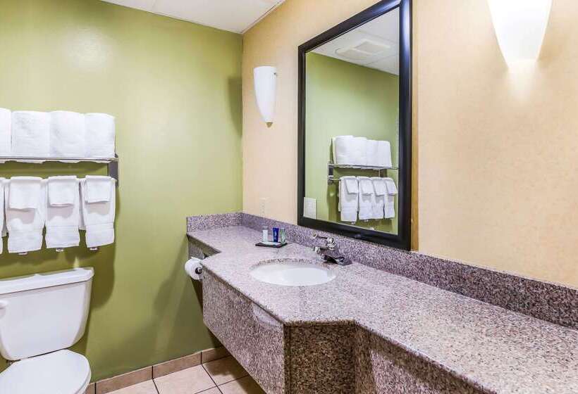 Отель Fort Stockton Inn & Suites
