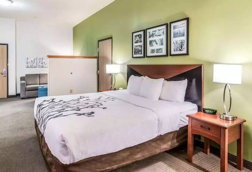 酒店 Fort Stockton Inn & Suites