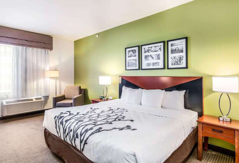 Отель Fort Stockton Inn & Suites