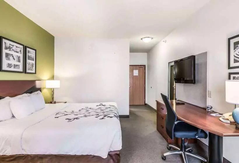 酒店 Fort Stockton Inn & Suites