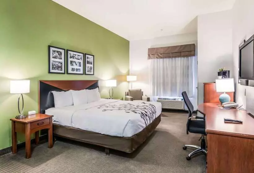 酒店 Fort Stockton Inn & Suites