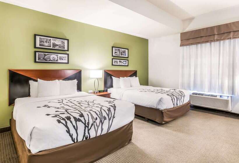 Отель Fort Stockton Inn & Suites