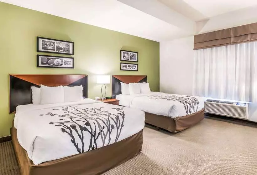 酒店 Fort Stockton Inn & Suites