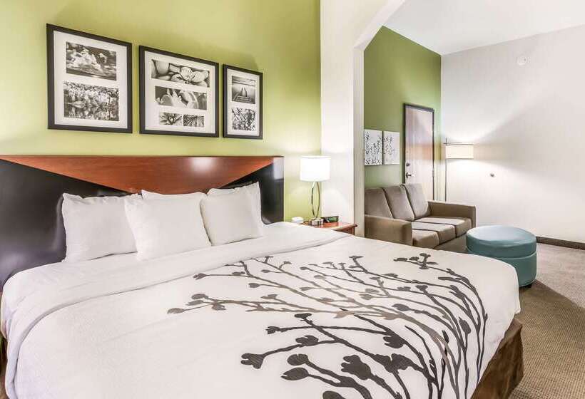 Отель Fort Stockton Inn & Suites