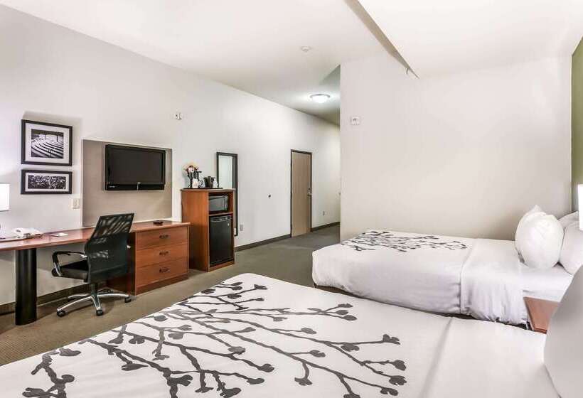 Отель Fort Stockton Inn & Suites