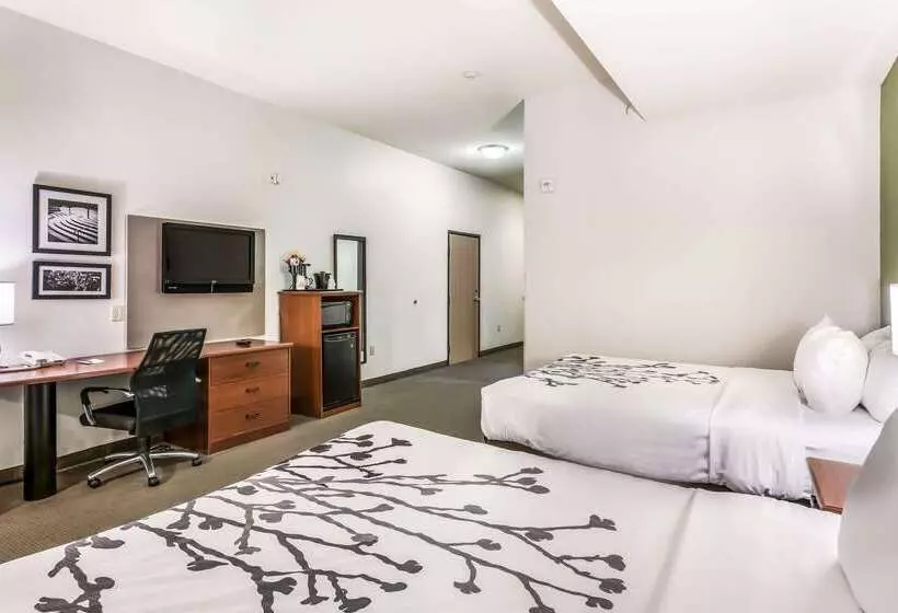 酒店 Fort Stockton Inn & Suites