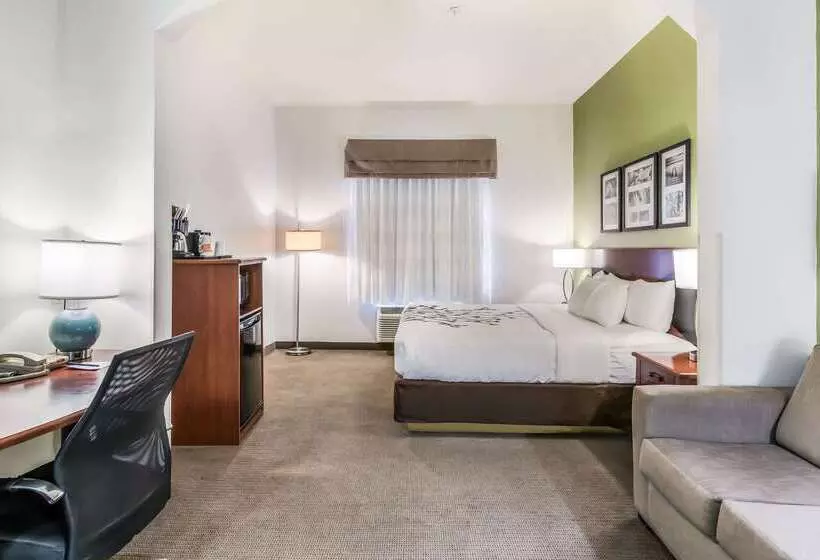 酒店 Fort Stockton Inn & Suites