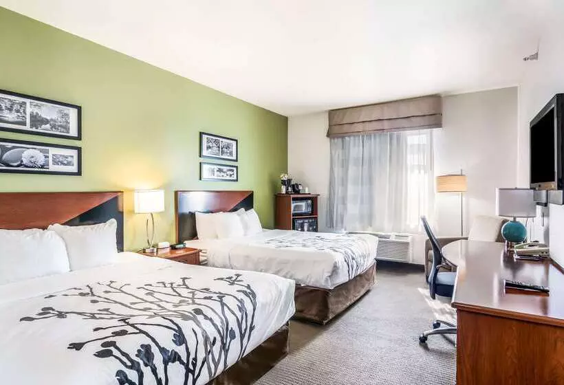 酒店 Fort Stockton Inn & Suites