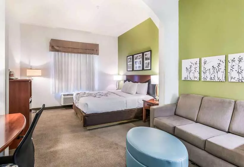 酒店 Fort Stockton Inn & Suites