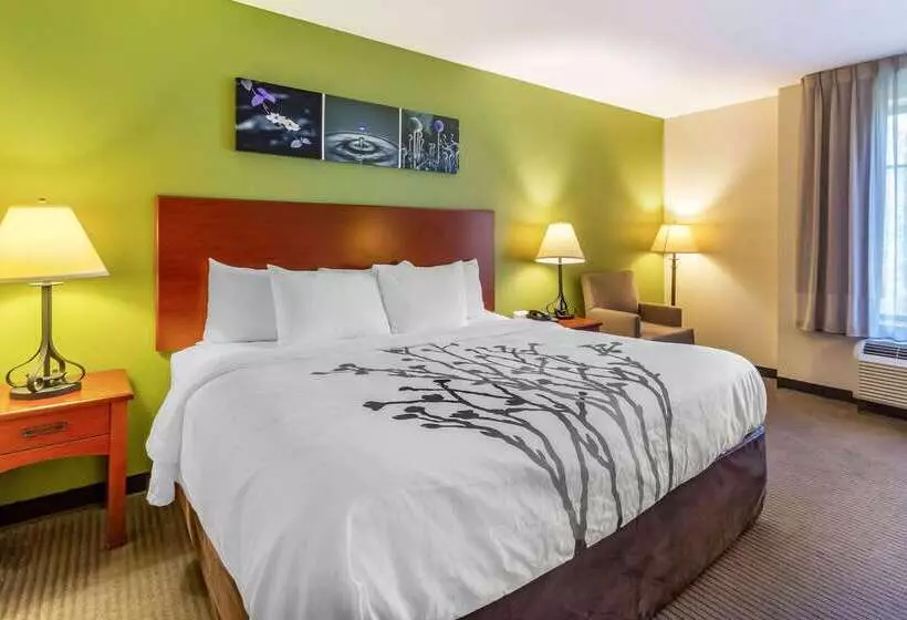 酒店 Sleep Inn & Suites Jacksonville West