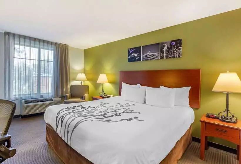酒店 Sleep Inn & Suites Jacksonville West