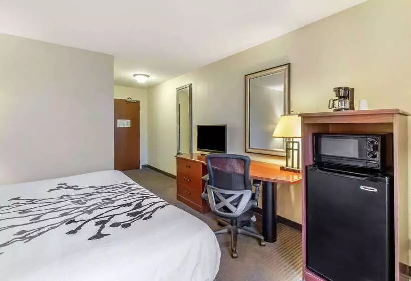 酒店 Sleep Inn & Suites Jacksonville West