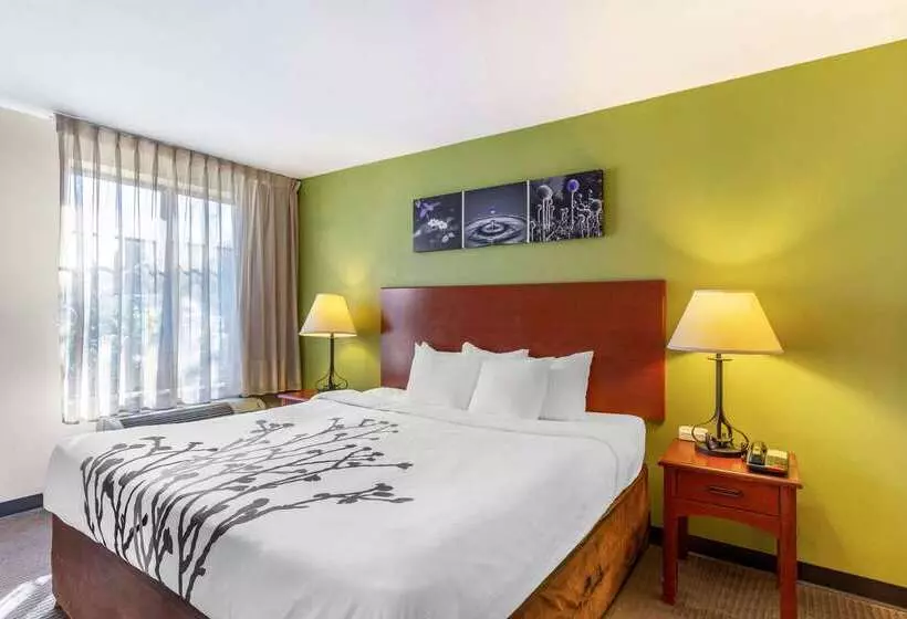 酒店 Sleep Inn & Suites Jacksonville West