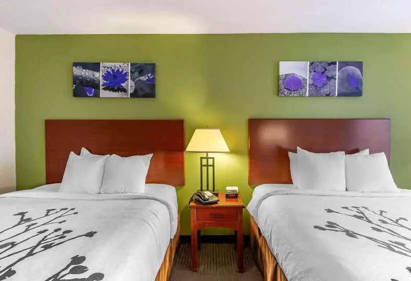 酒店 Sleep Inn & Suites Jacksonville West