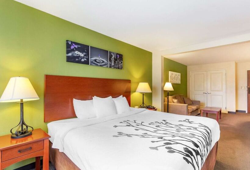 בית מלון כפרי Sleep Inn & Suites Jacksonville West