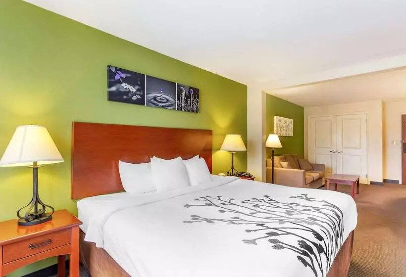 酒店 Sleep Inn & Suites Jacksonville West
