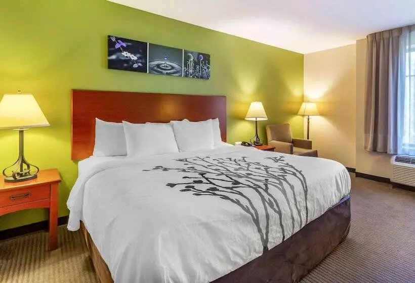 酒店 Sleep Inn & Suites Jacksonville West
