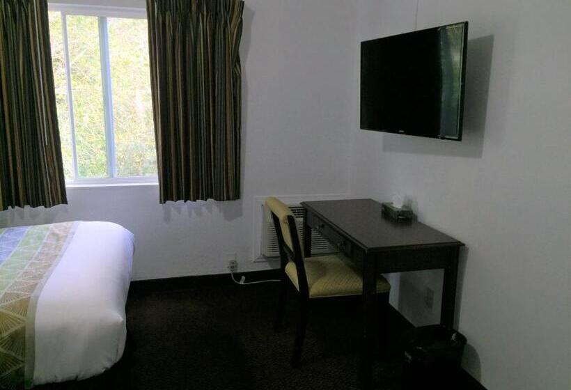 Отель Westward Inn