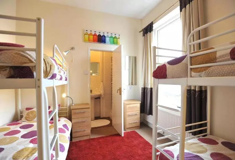 هاستل The Bunkroom