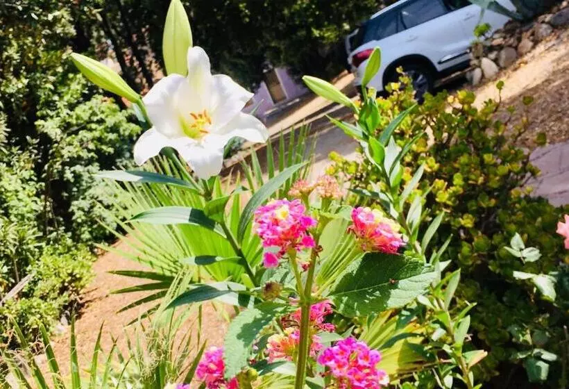 Residenza Locci Rooms & Apartments