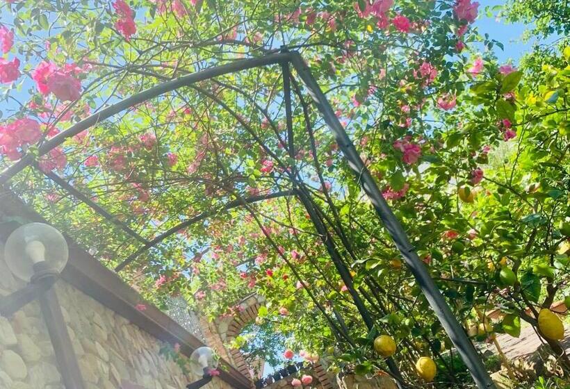 Residenza Locci Rooms & Apartments