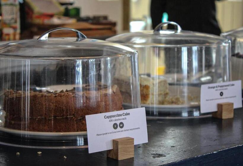 فندق صغير Yha Whitby