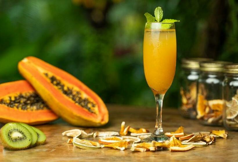 Отель Monkey Lodge Panama