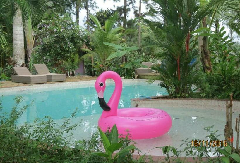 Отель Monkey Lodge Panama