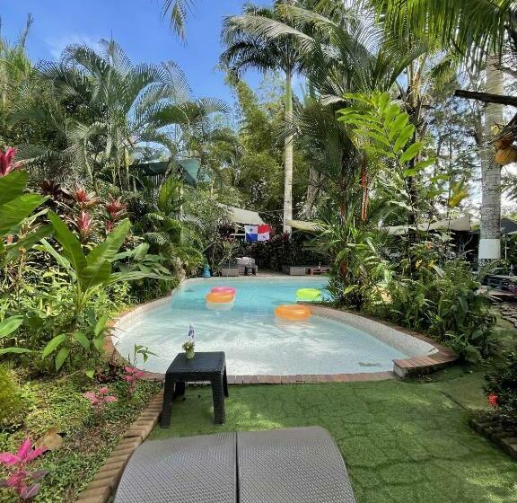 Отель Monkey Lodge Panama