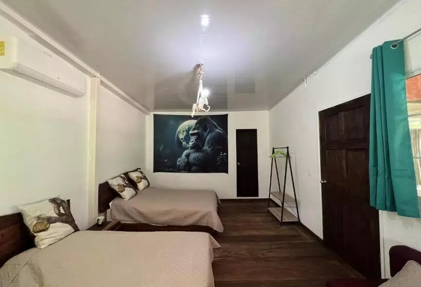 هتل Monkey Lodge Panama