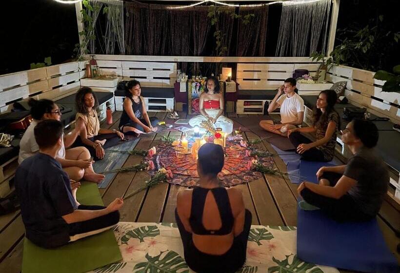 Отель Monkey Lodge Panama