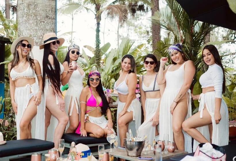 Отель Monkey Lodge Panama